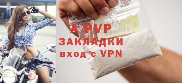 индика Балахна