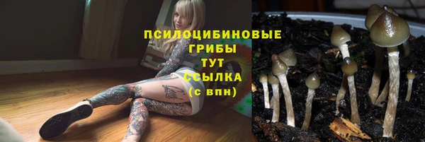 СК Баксан