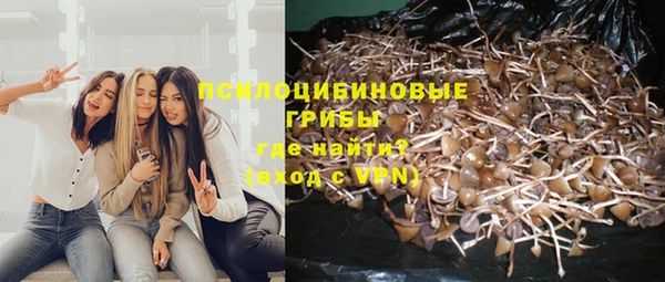 индика Балахна