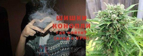 индика Балахна