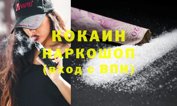 индика Балахна