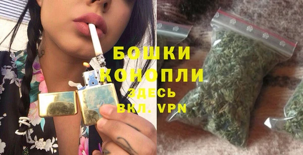 индика Балахна