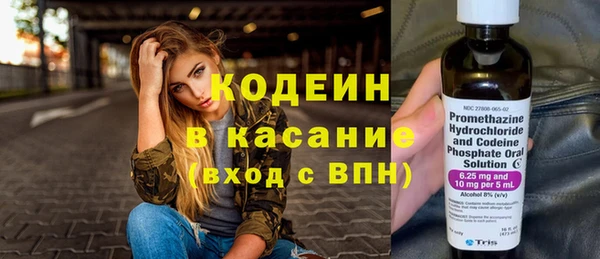 индика Балахна